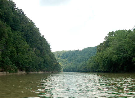 View of the River
